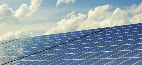 Tombez dans le panneau … photovoltaïque du MIN de Nantes !