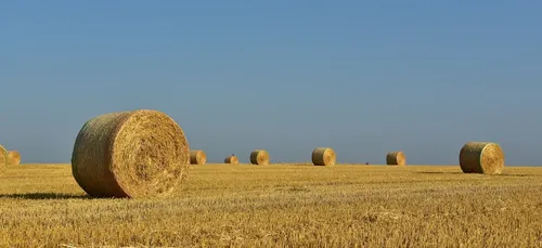 Les agriculteurs ligériens sur la paille ... espagnole !