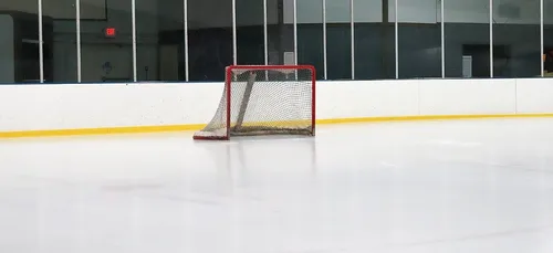 Les Ducs d'Angers sur le podium !