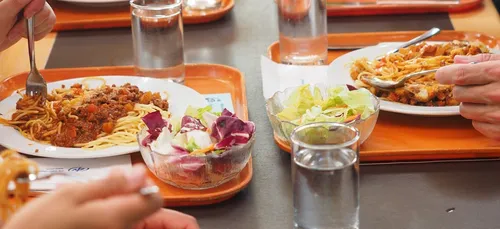 Le succès de MMD Acoustique face au bruit ambiant... dans les cantines