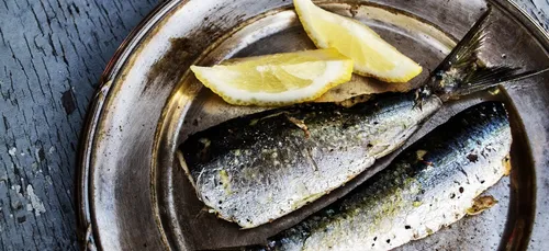 La sardine de St-Gilles au patrimoine culturel immatériel de la France