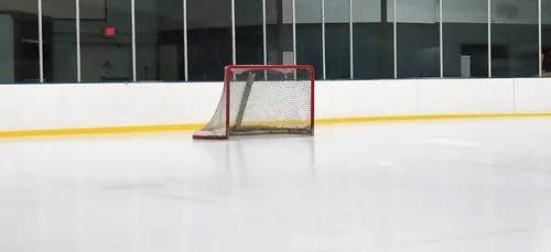 Les Ducs d'Angers à un point du podium