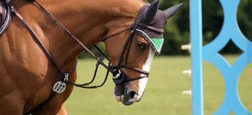 Le Jumping International ouvre demain à Nantes