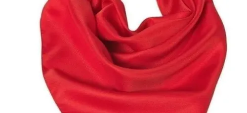 Les Foulards rouges contre les Gilets jaunes