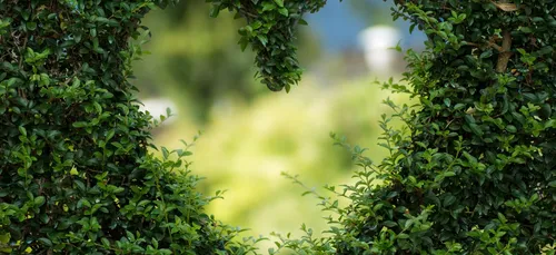 La Roche-sur-Yon fête la Saint-Valentin !