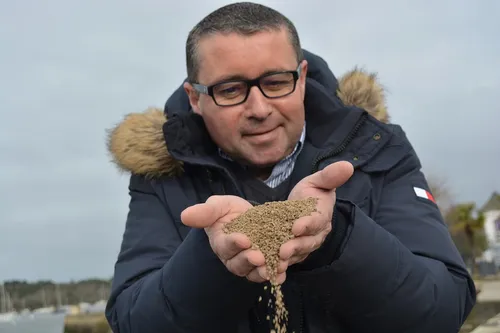 Pro Bio Terre : une alternative bretonne au glyphosate