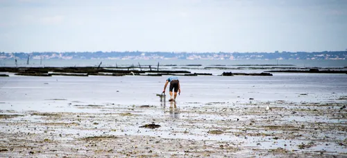 Grandes marées : Prudence !