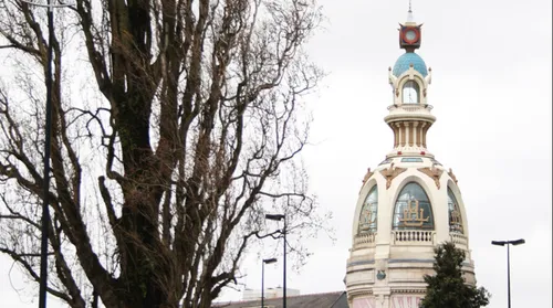 Comment est perçue la collectivité de Nantes métropole ?