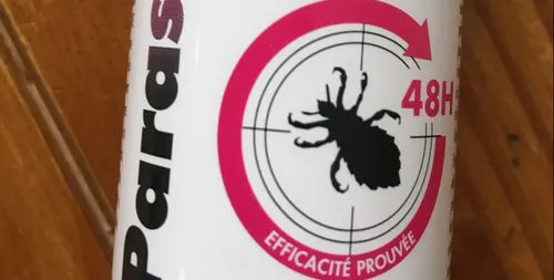 Au secours ! Mon enfant a des poux !!