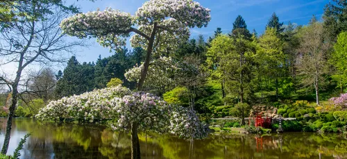 Le Parc Oriental de Maulévrier lance sa saison !