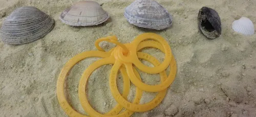 Bouaye : Des collégiens créent une mini-entreprise