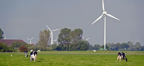 Les éoliennes ont-elles un effet néfaste sur les animaux et les...
