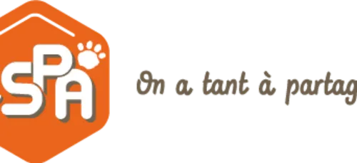 La SPA récupère 114 chiens de Cossé-le-Vivien