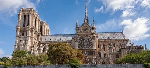 ND de Paris : Pledran veut donner des arbres !