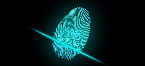 Affaire criminelle : des experts à Nantes