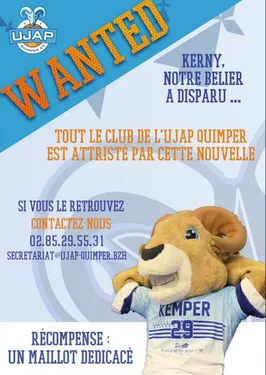 A la recherche de Kerny, le bélier !