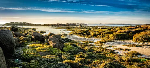 Destination Côtes d'Armor !