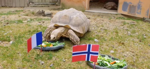 France-Norvège : Ariane a choisi...