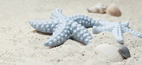 Vacances : calendrier 2019-2020 !