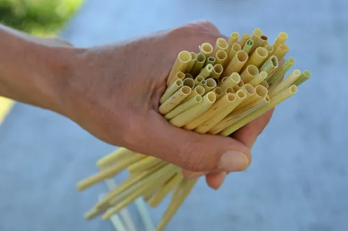 Des pailles... en paille... made in bzh
