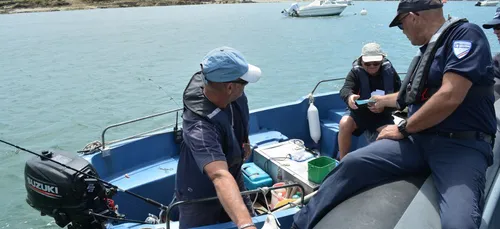 En mer, les affaires maritimes veillent