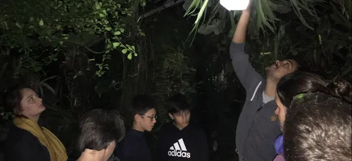 Insolite : Une nuit au Jardin des Plantes