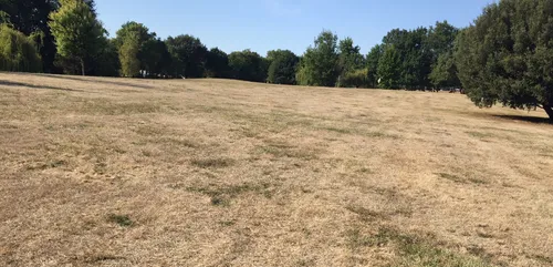 Sécheresse : les agriculteurs divisés sur les solutions