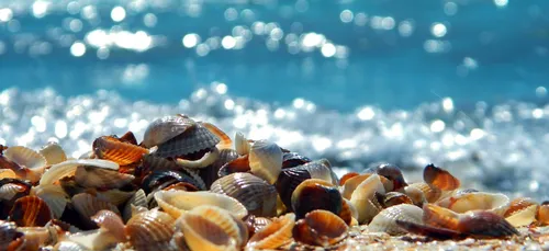 Revoilà les grandes marées