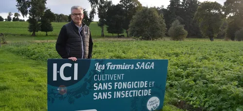 Des algues plutôt que les pesticides