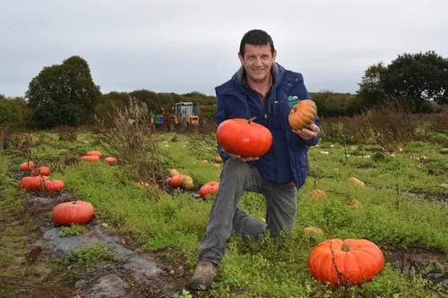 Les courges : reines de l'automne