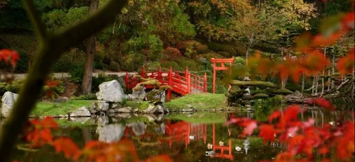 Carte Postale : Parc Oriental de Maulévrier