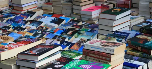 Changé : Plus de 6500 euros pour deux boites à livre