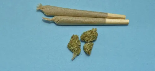 Enquête sur le trafic de cannabis à Nantes