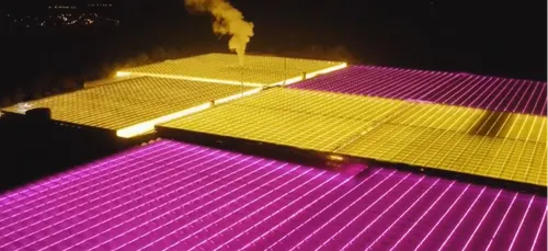 l'image du jour : des serres lumineuses