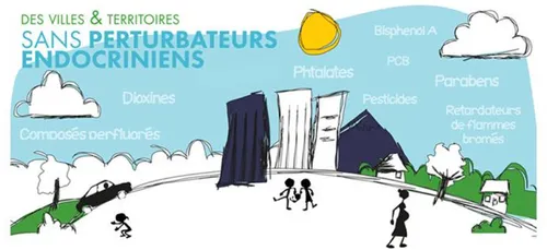 Perturbateurs endocriniens : deux villes de l’Ouest s’engagent