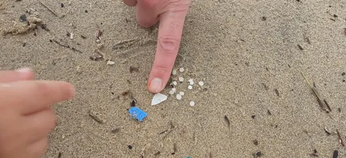 L'image du jour : des billes en plastique sur les plages de l'ouest !