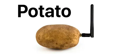L'image du jour : une pomme de terre connectée