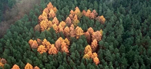 L'image du jour : des vestiges du IIIe Reich