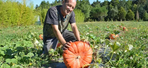 Municipales : les initiatives locales qui ont marché !