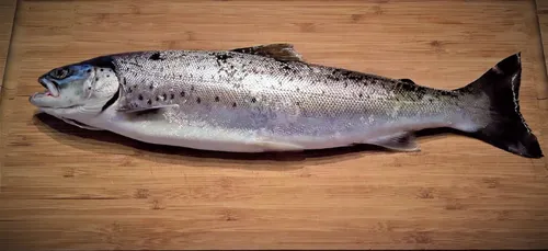 L'image du jour : Connaitre l'origine de notre alimentation avec...