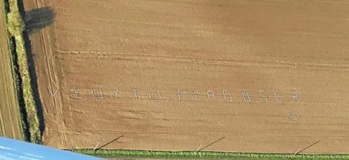 L'image du jour : une belle demande en mariage