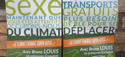 L'image du jour : le mot ''SEXE'' sur les affiches électorales pour...