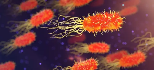 Des bactéries de plus en plus résistantes