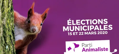 Le parti animaliste s'empare des municipales
