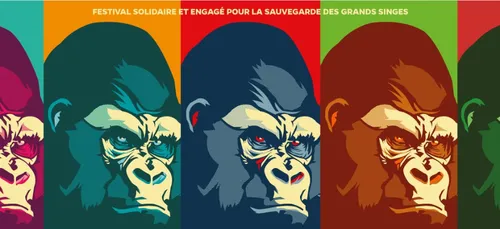 Le festival La Nuit de l'Erdre menacé...