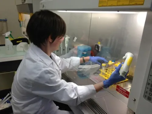 Coronavirus  : Le Morbihan lance une étude inédite en France