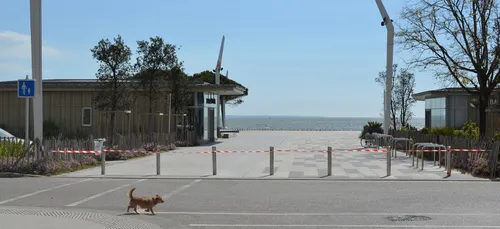 Couvre-feu, Stop-Covid : la Ligue des Droits de l'Homme défend nos...