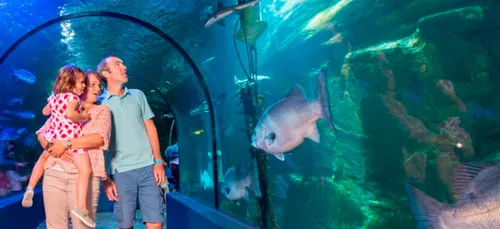 Réouverture de sites touristiques ce week-end