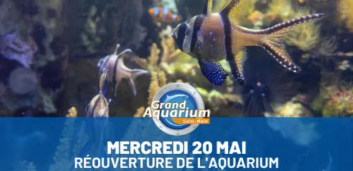 Le Grand Aquarium de St Malo a rouvert ses portes !