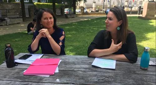 A Nantes, les verts portés par une fusion des programmes